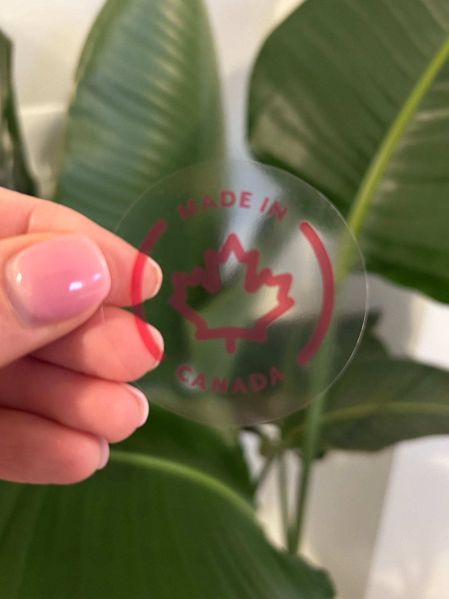 Made In Canada - Large Circles