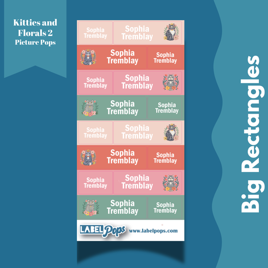 Large Rectangles - Kitties