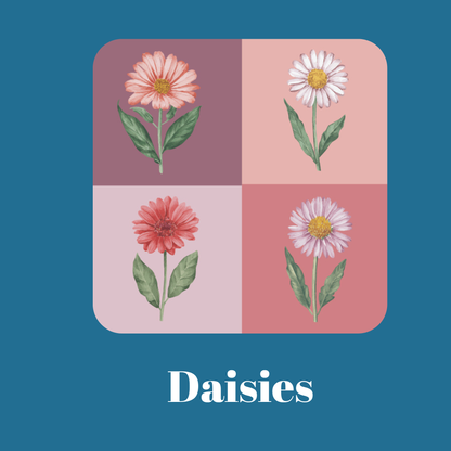 Regular Rectangles - Daisies