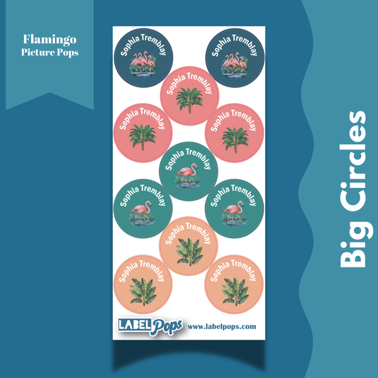 Large Circles - Flamingo