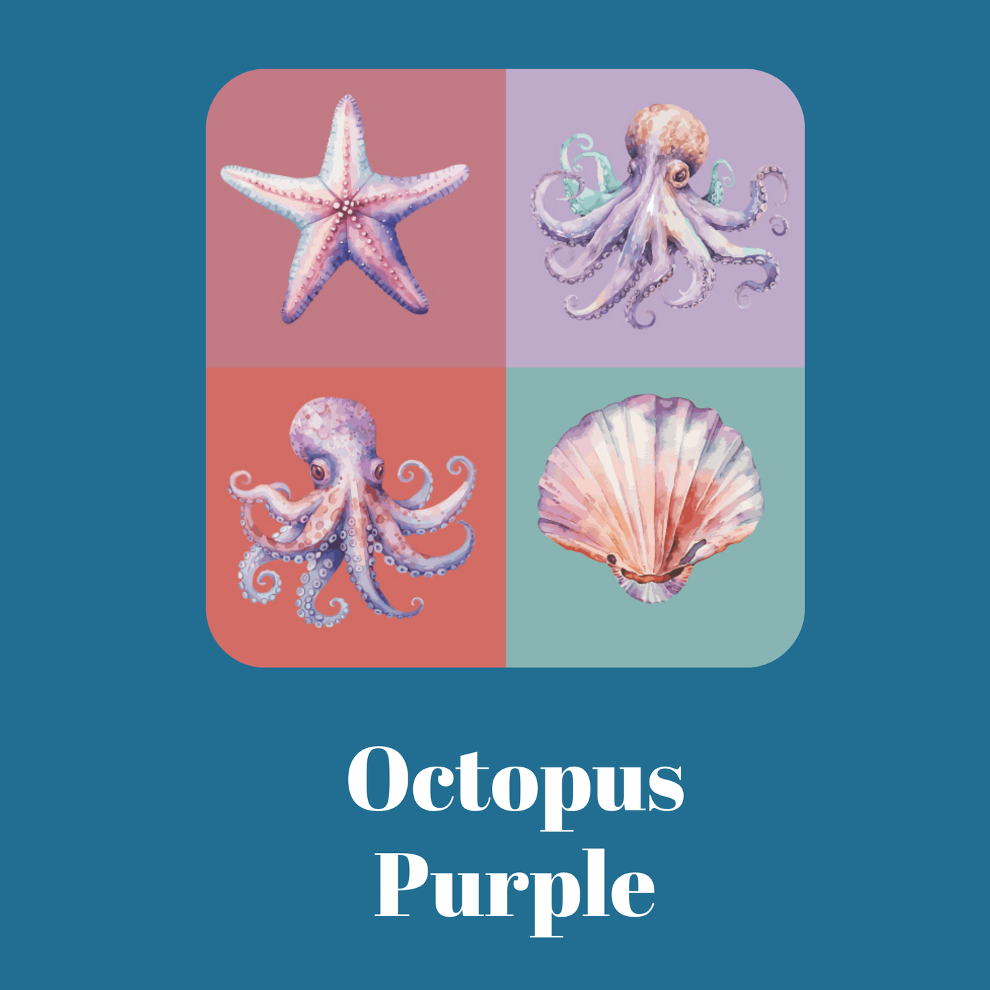 Octopus Purple - Starter Pack