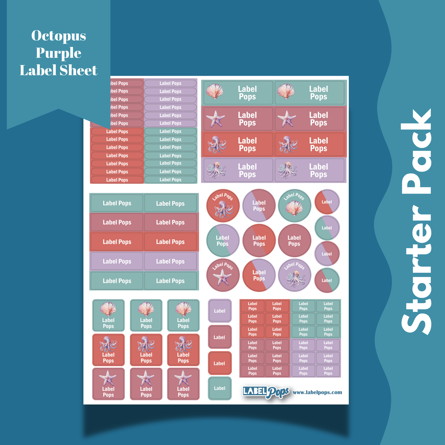 Octopus Purple - Starter Pack