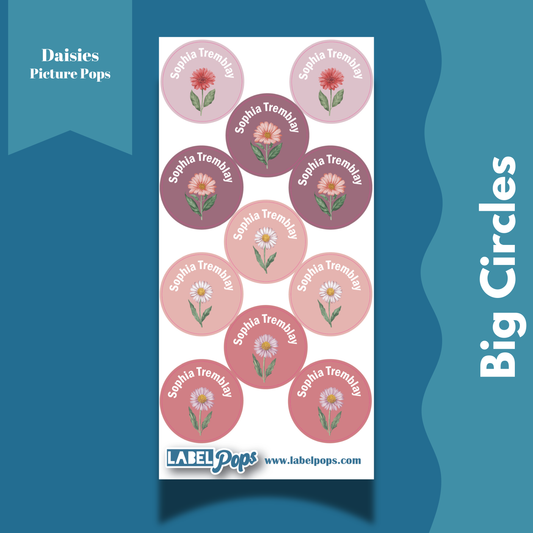 Large Circles - Daisies