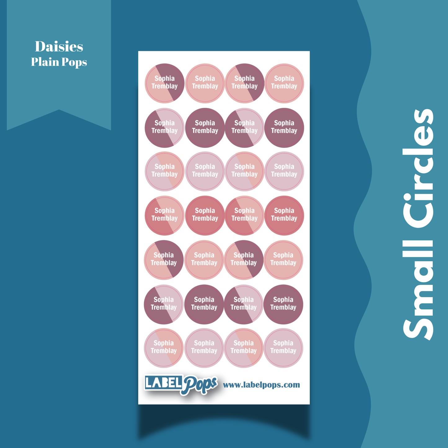 Small Circles - Daisies Colours